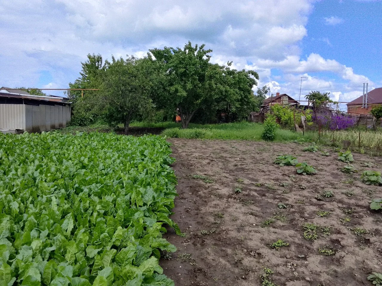 Дом на берегу реки Понура в Старовеличковской - миниатюра 7