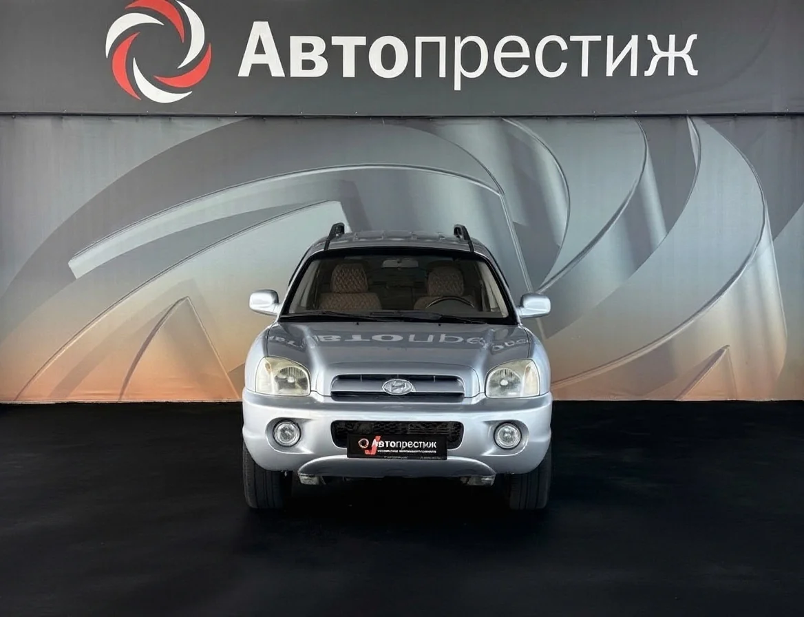 Hyundai Santa Fe Classic, 2008 - миниатюра 2