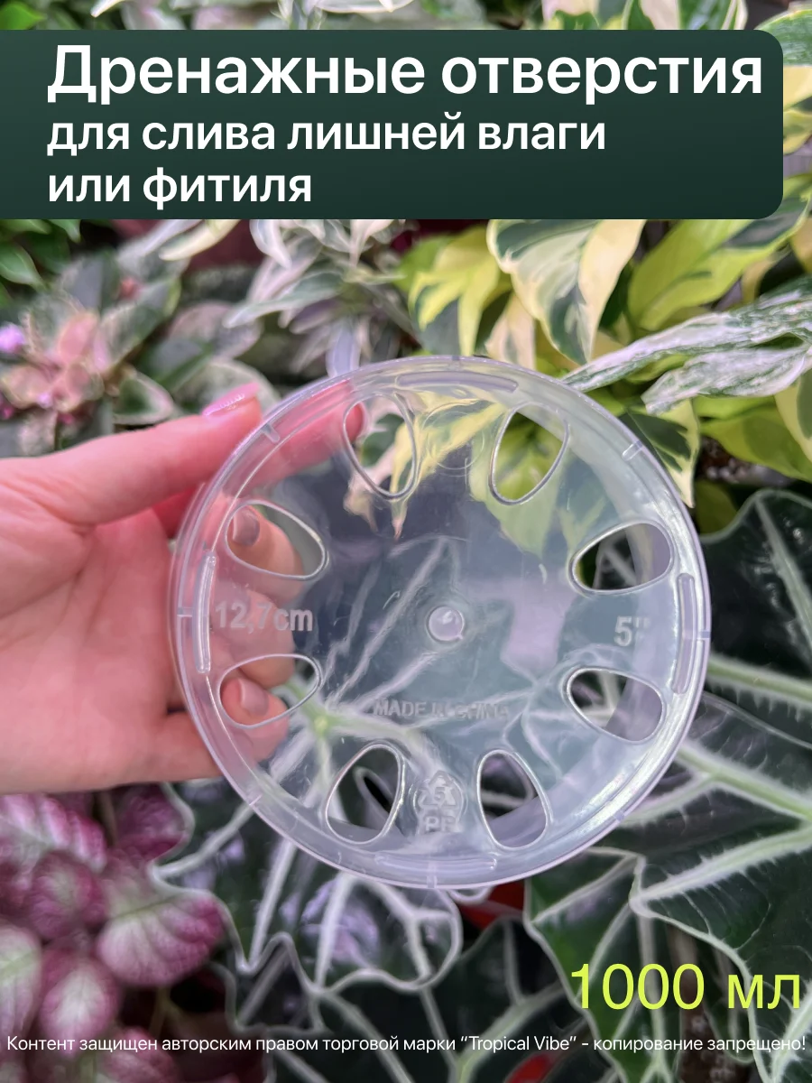 Горшки прозрачные для растений - миниатюра 4