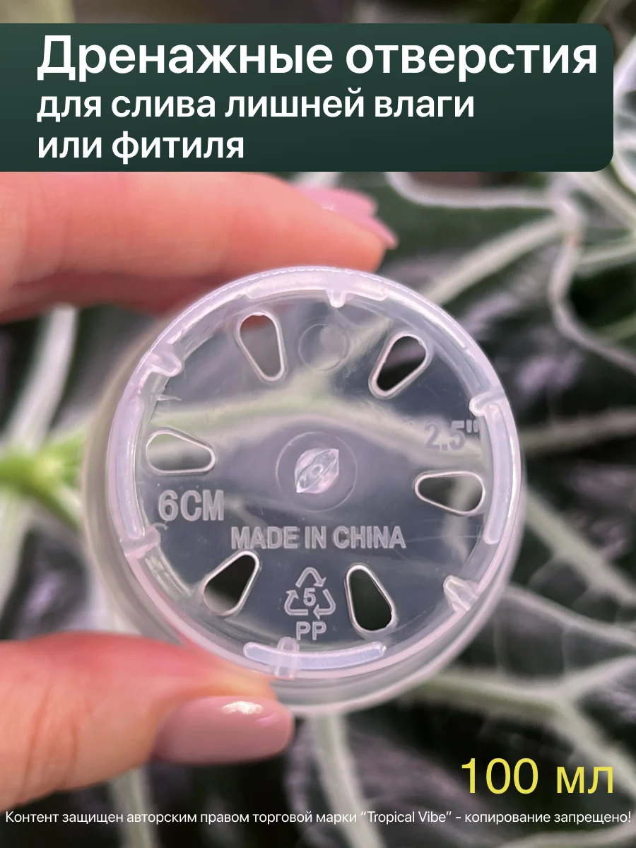 Горшки прозрачные для растений - миниатюра 5