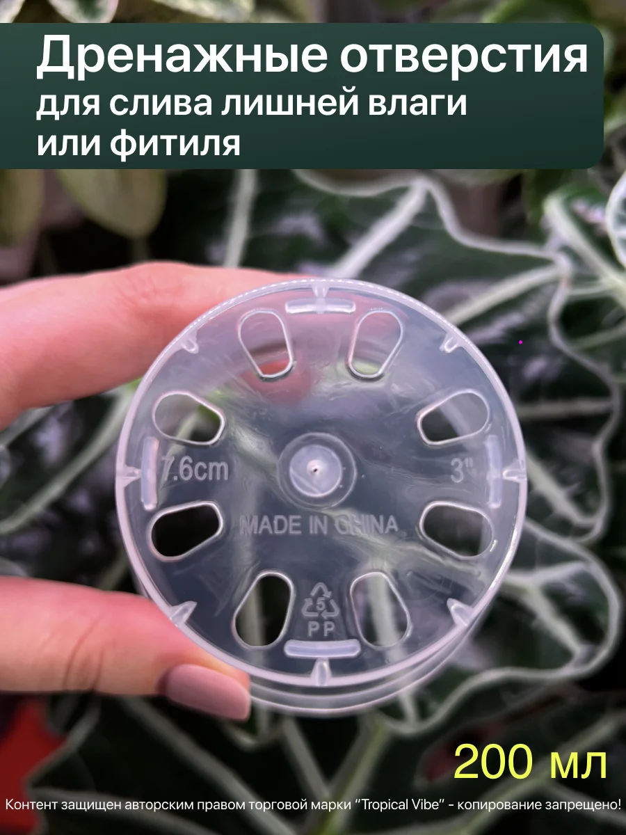 Горшки прозрачные для растений - миниатюра 7
