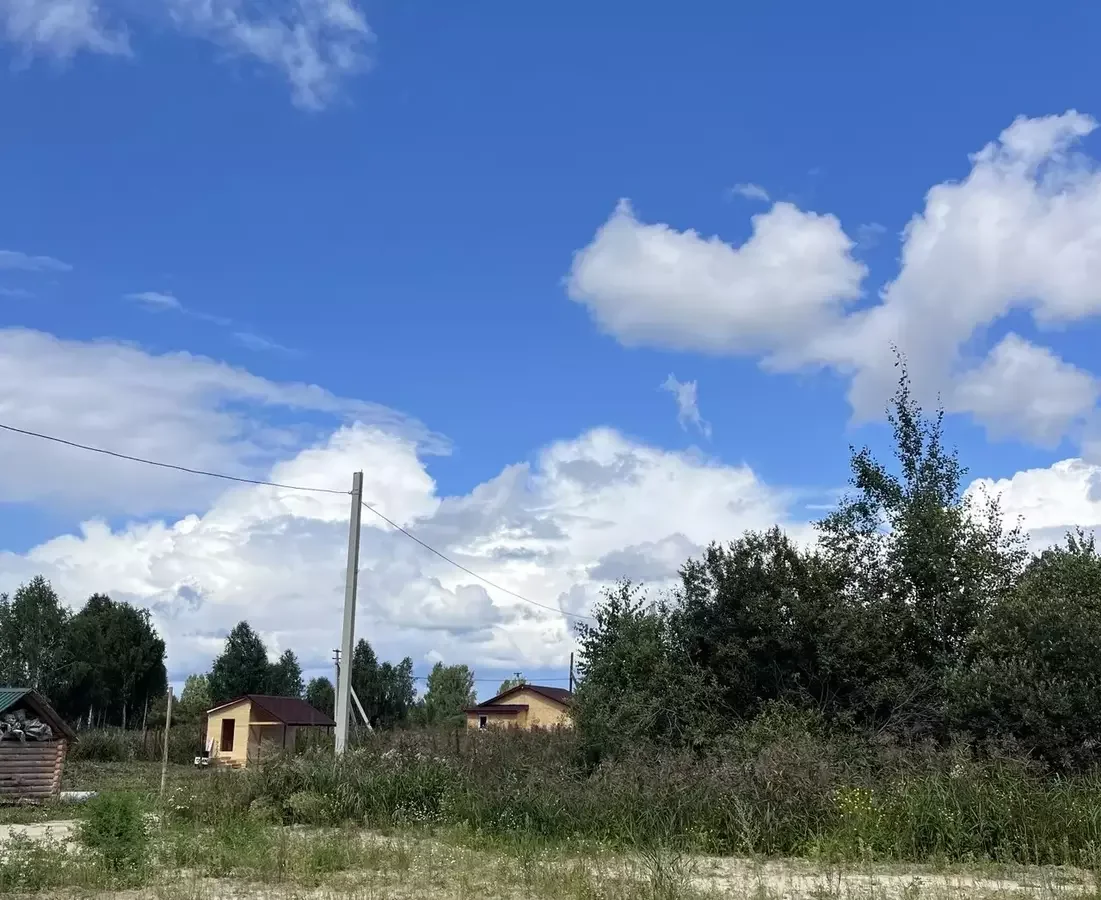 Участок у леса - миниатюра 6