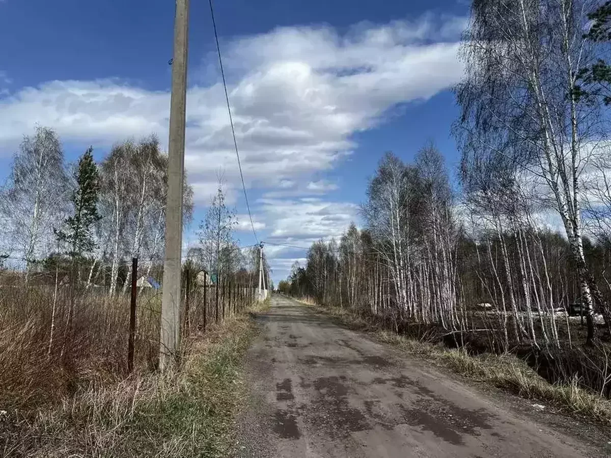 Участок с соснами - изображение 1