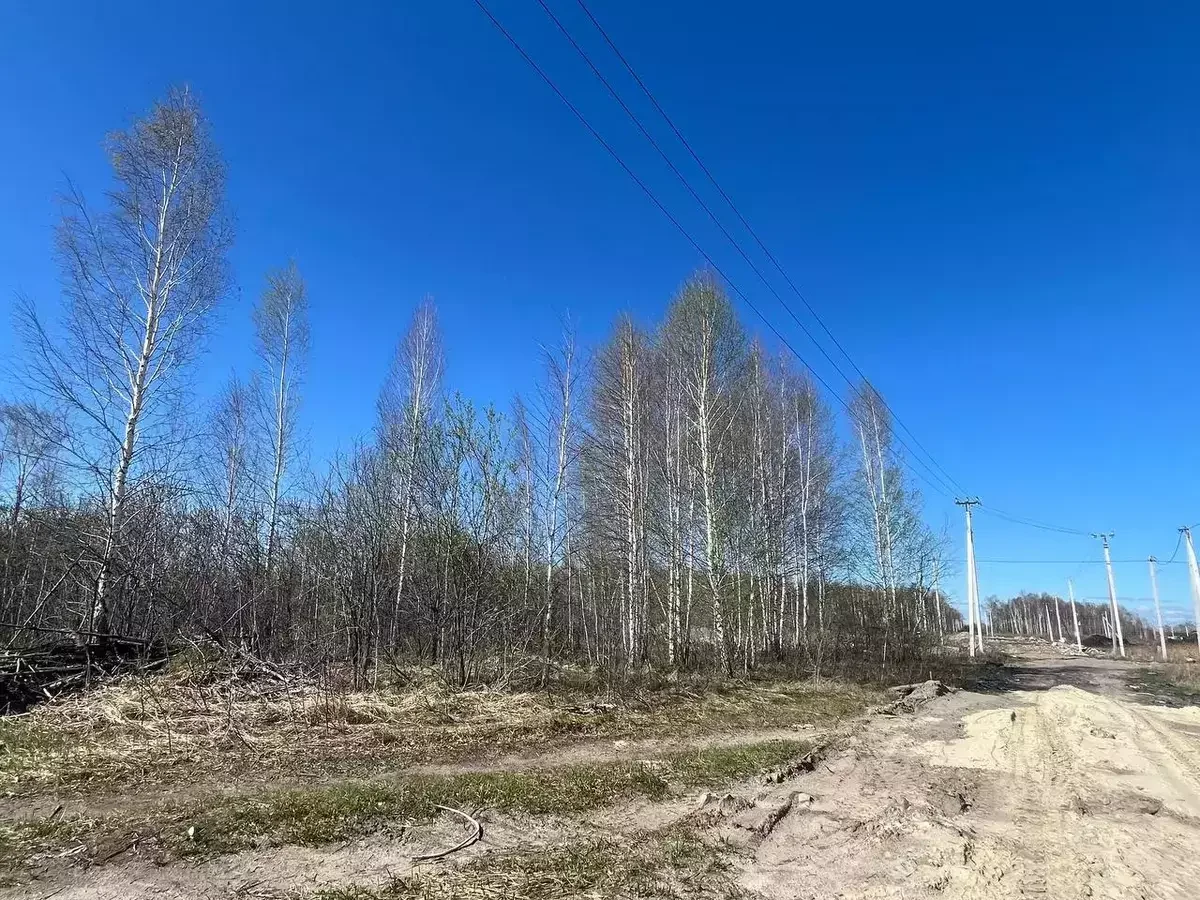 Участок в новой нарезке - миниатюра 2