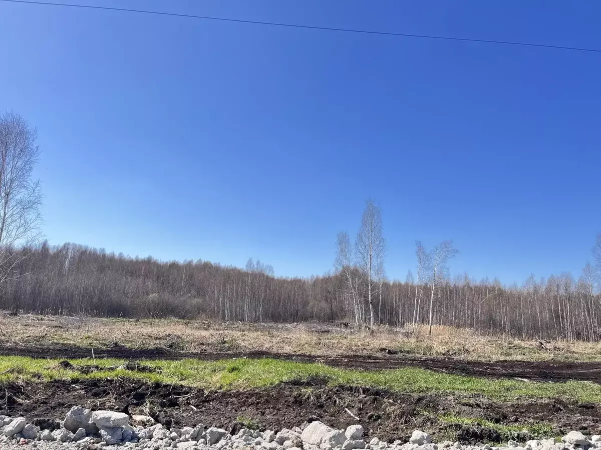 участок в новой нарезке - миниатюра 5