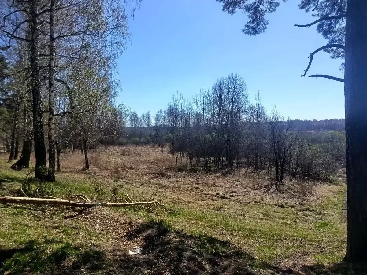 Участок на берегу Туры - миниатюра 3