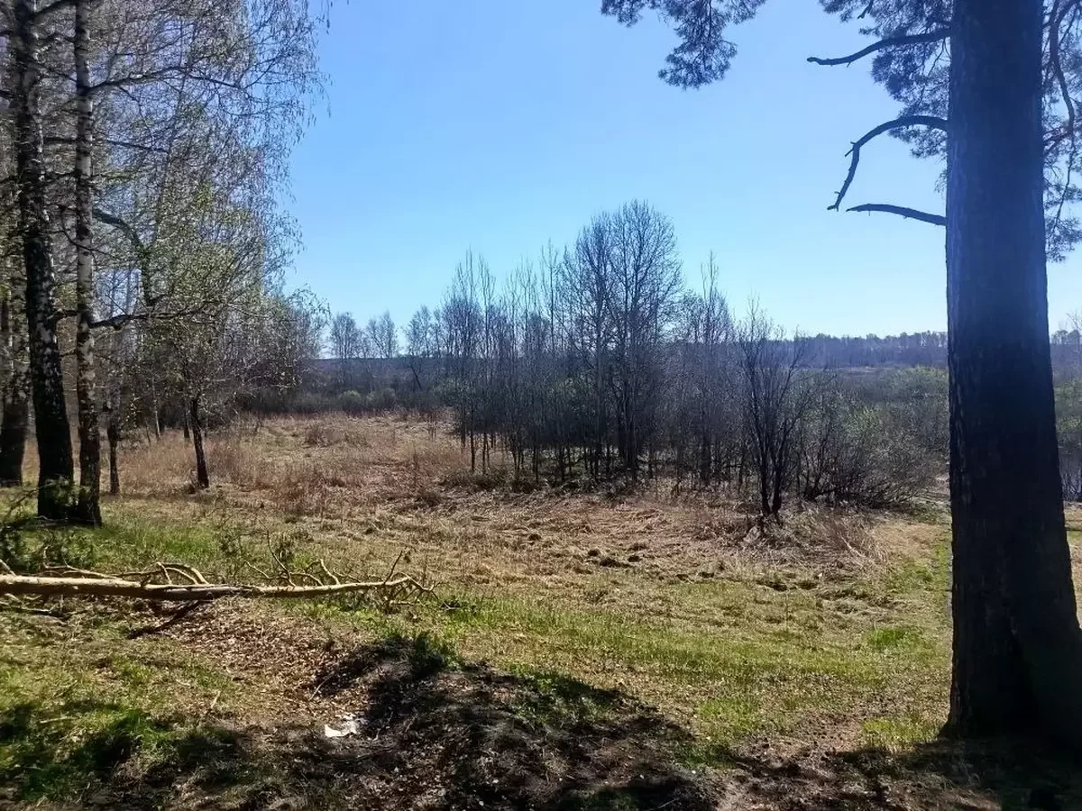 Участок на берегу Туры - миниатюра 5