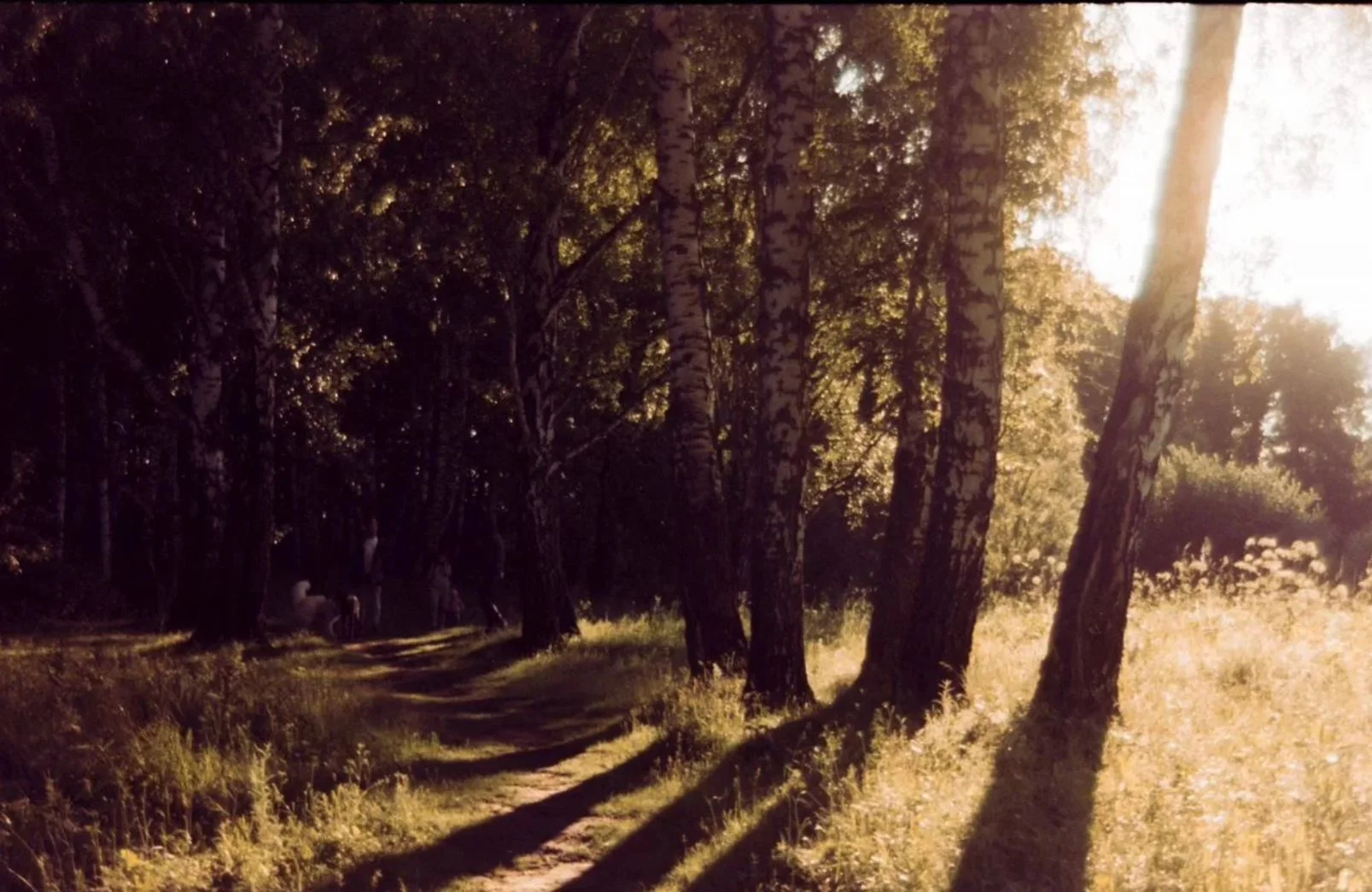 Kodak 200 iso 36 кадров 35 мм - миниатюра 4