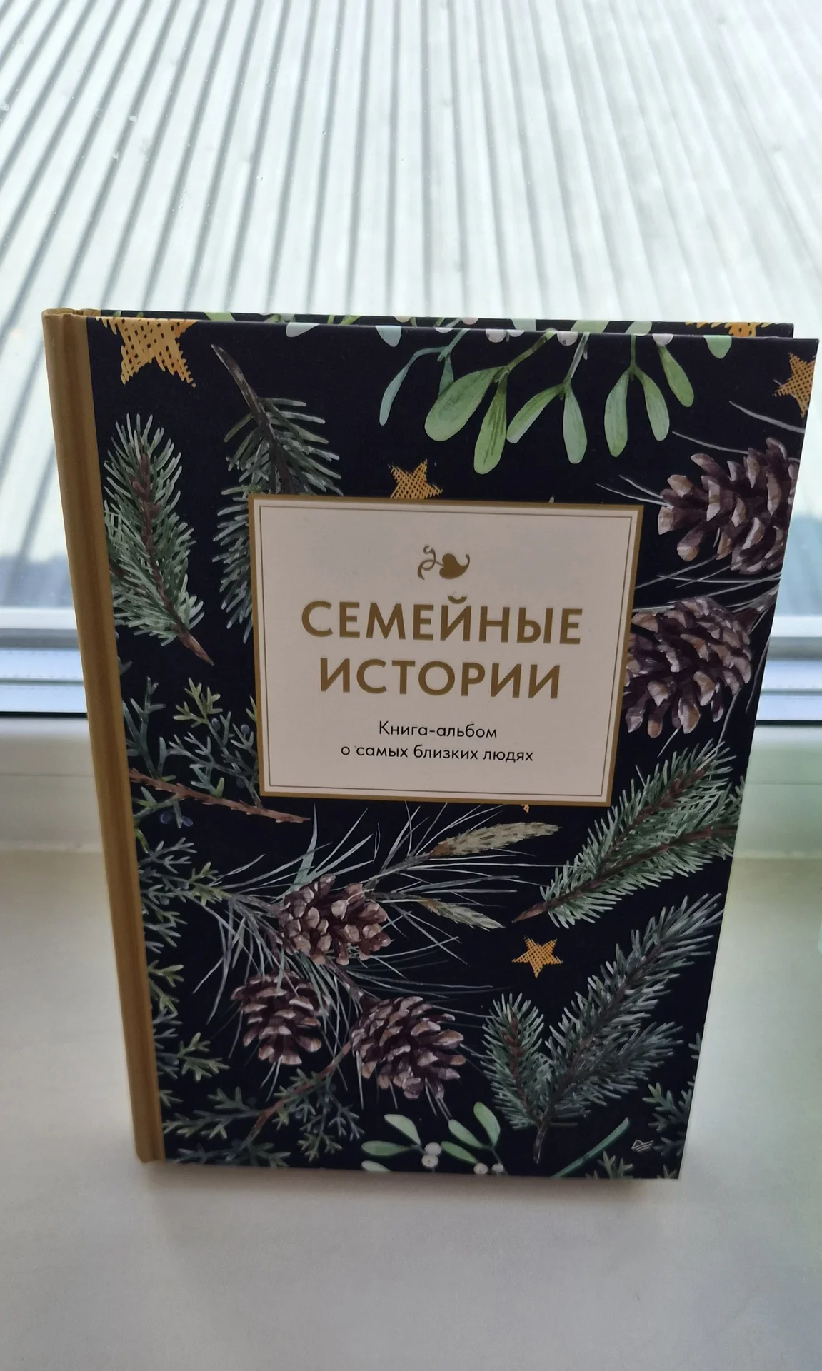 Семейные истории. Книга-альбом. - изображение 1