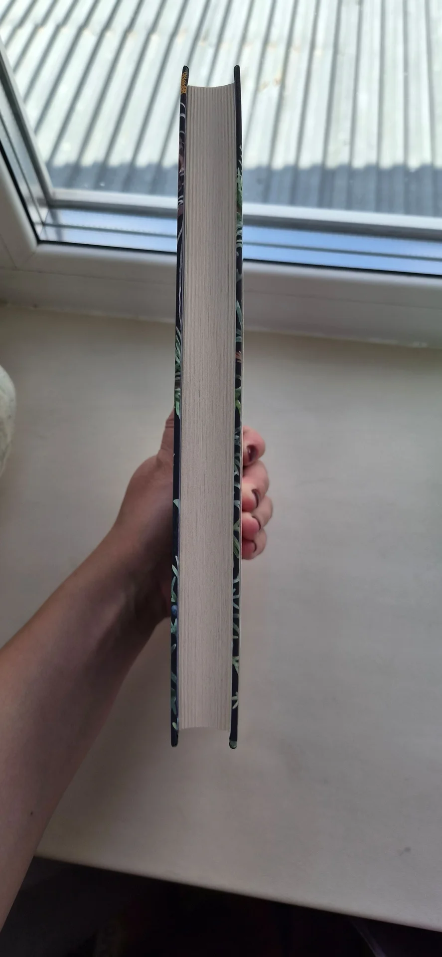 Семейные истории. Книга-альбом. - миниатюра 2