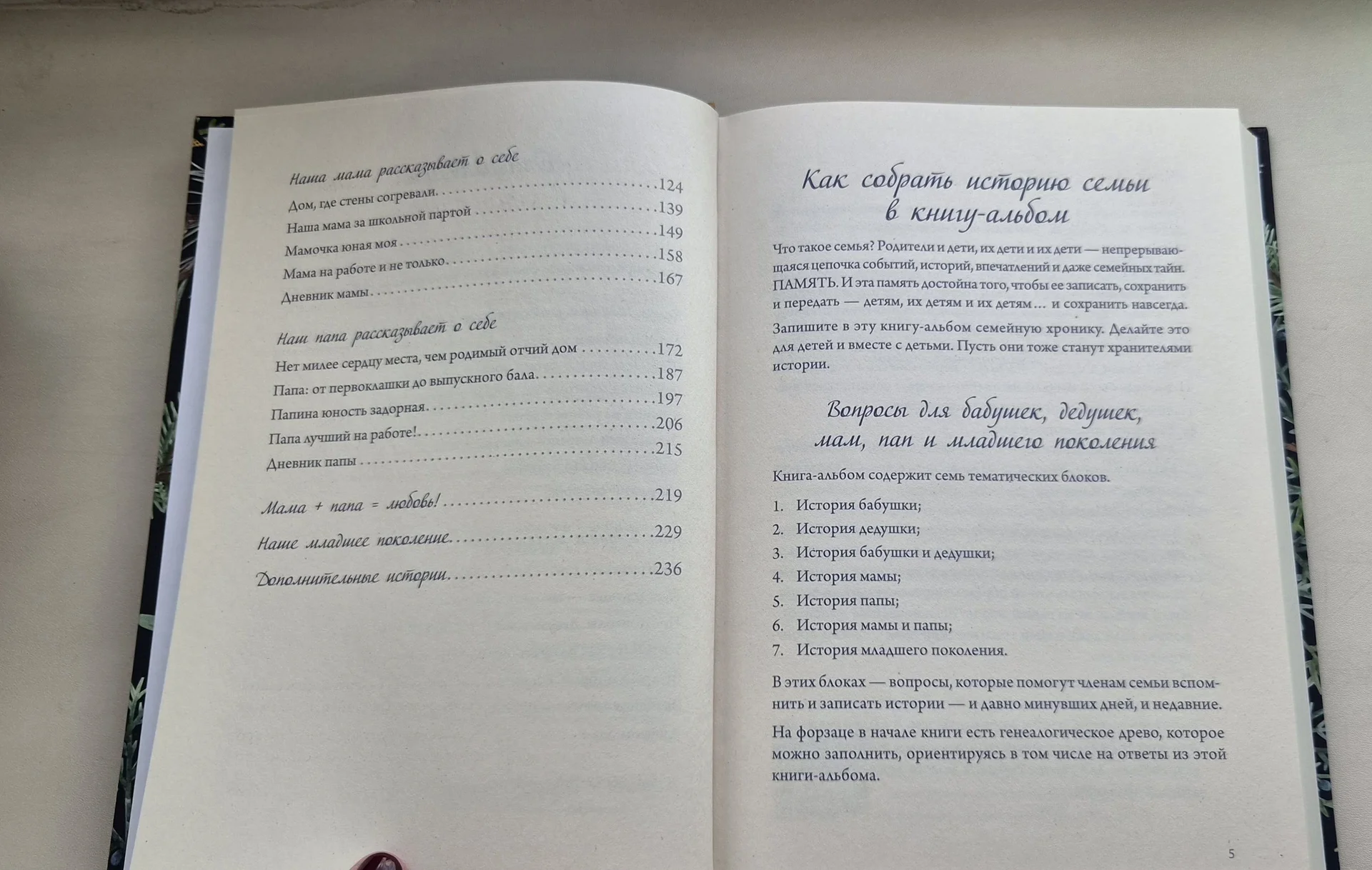 Семейные истории. Книга-альбом. - миниатюра 6