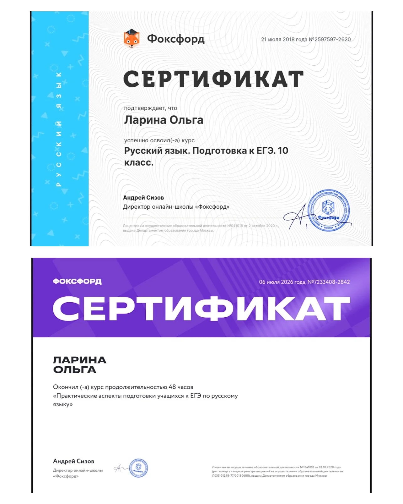 Репетитор по русскому языку и литературе - миниатюра 2