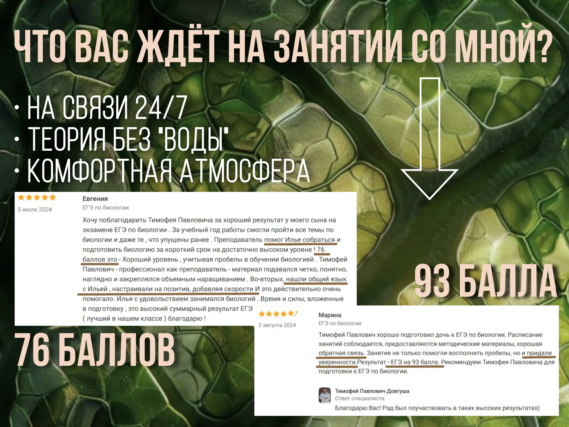 Репетитор по Биологии ЕГЭ - миниатюра 5