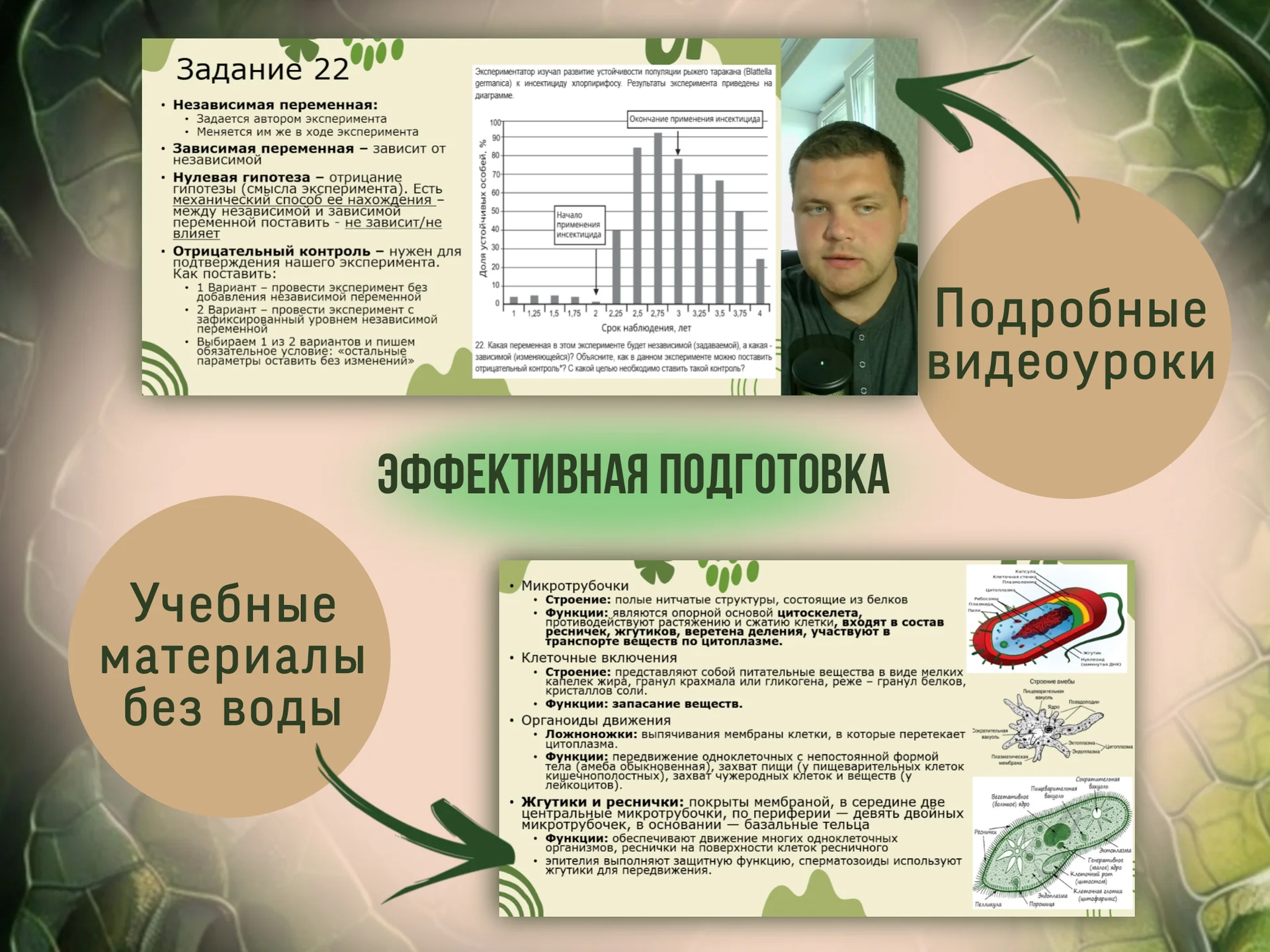Репетитор по Биологии ЕГЭ - миниатюра 6