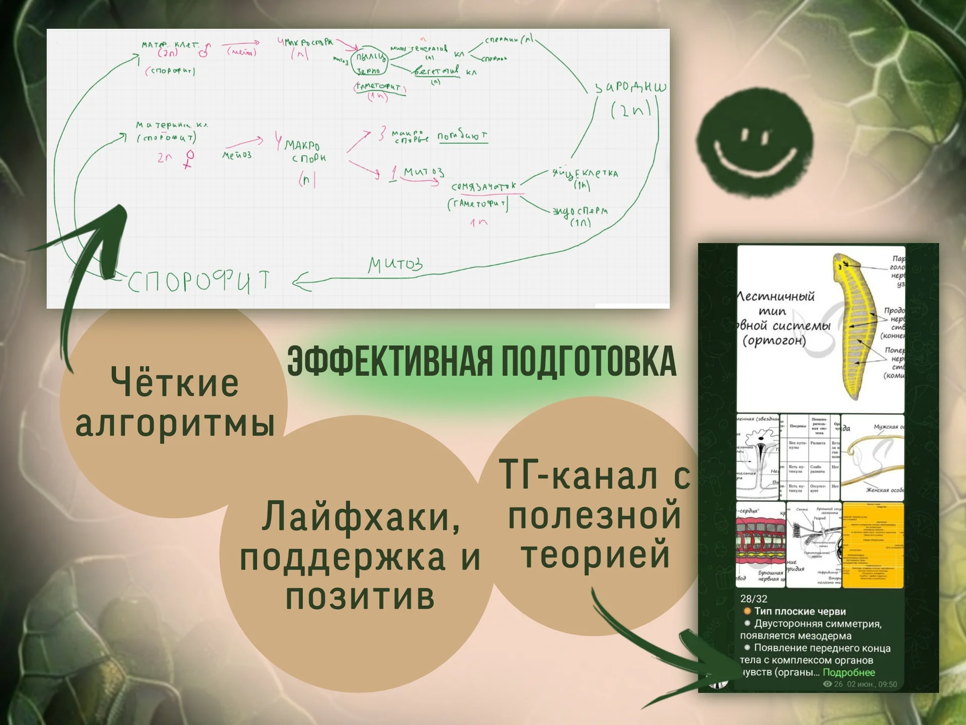 Репетитор по Биологии ЕГЭ - миниатюра 7