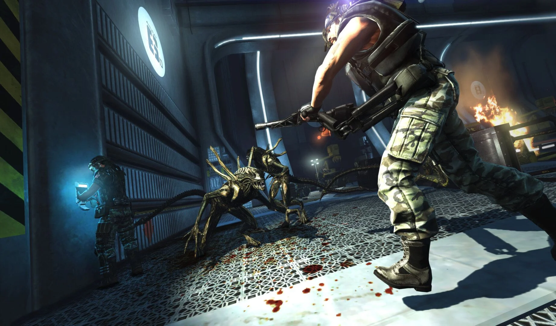 ALIENS: COLONIAL MARINES 🔑 КЛЮЧ В STEAM - миниатюра 4
