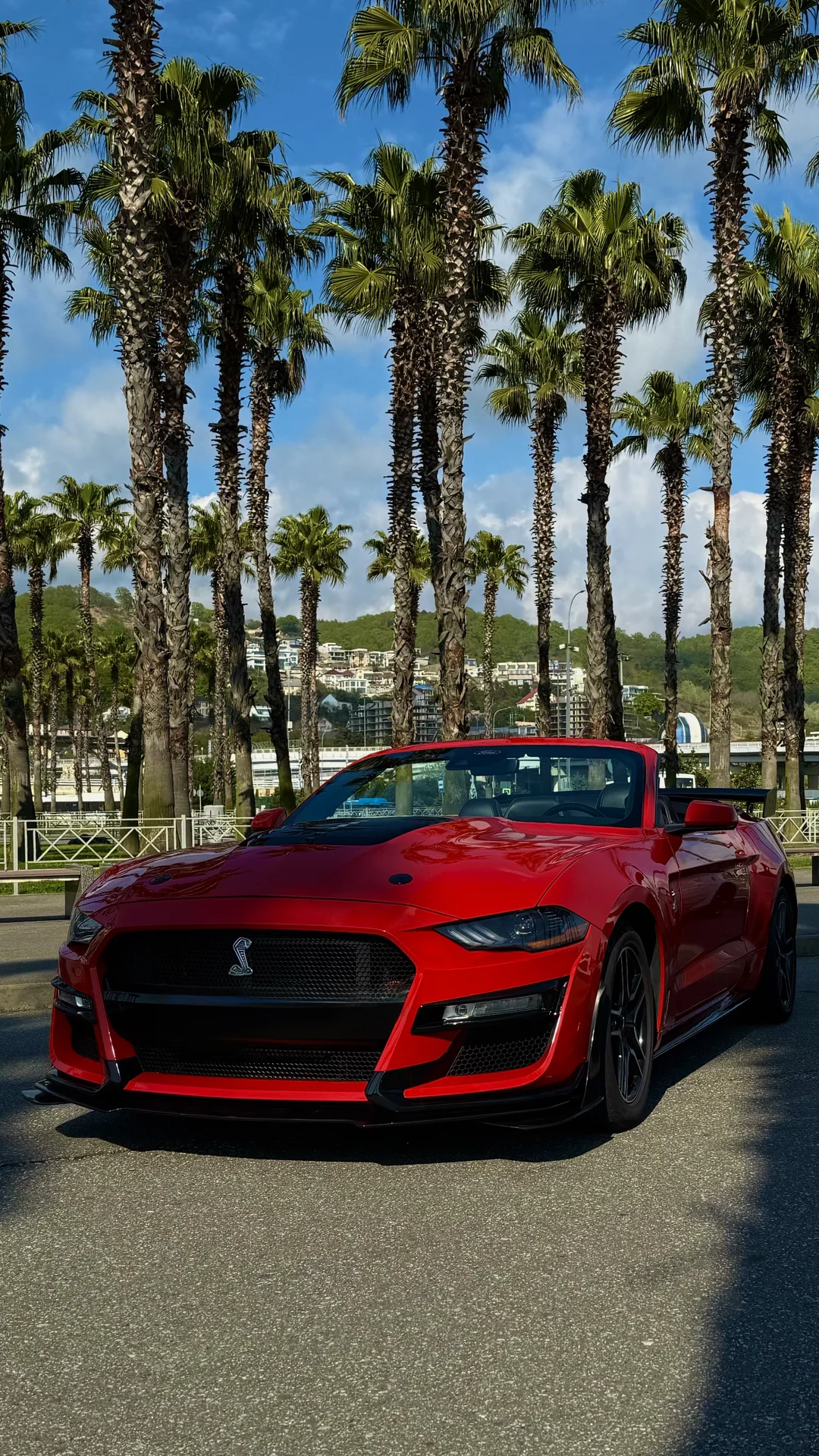 Аренда кабриолета ( Camaro - Mustang ) - изображение 1