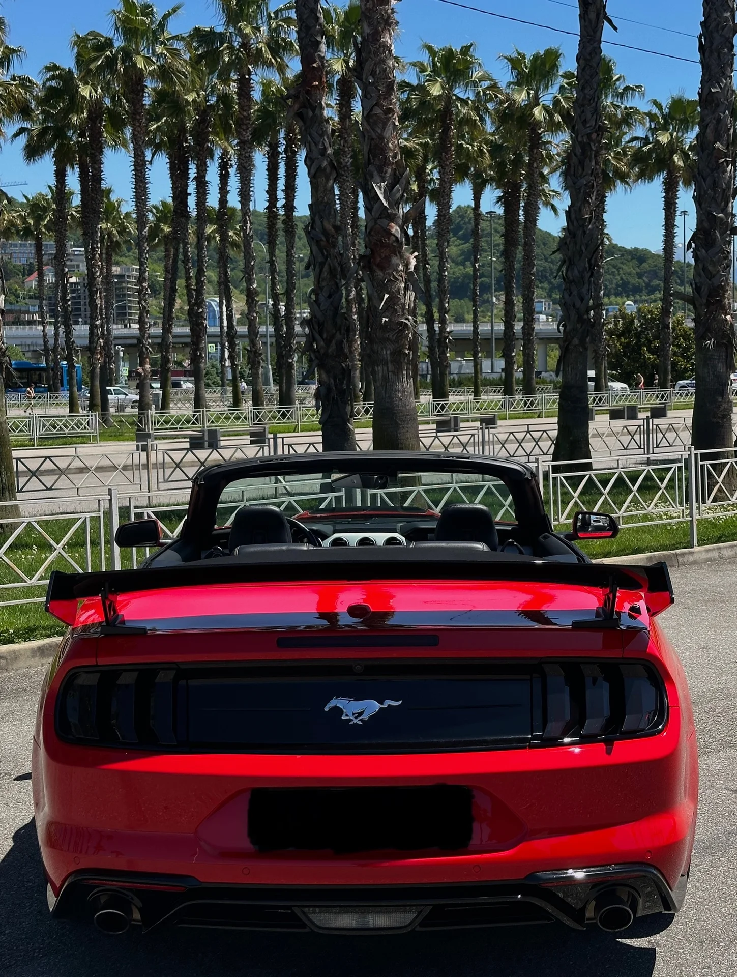 Аренда кабриолета ( Camaro - Mustang ) - миниатюра 3