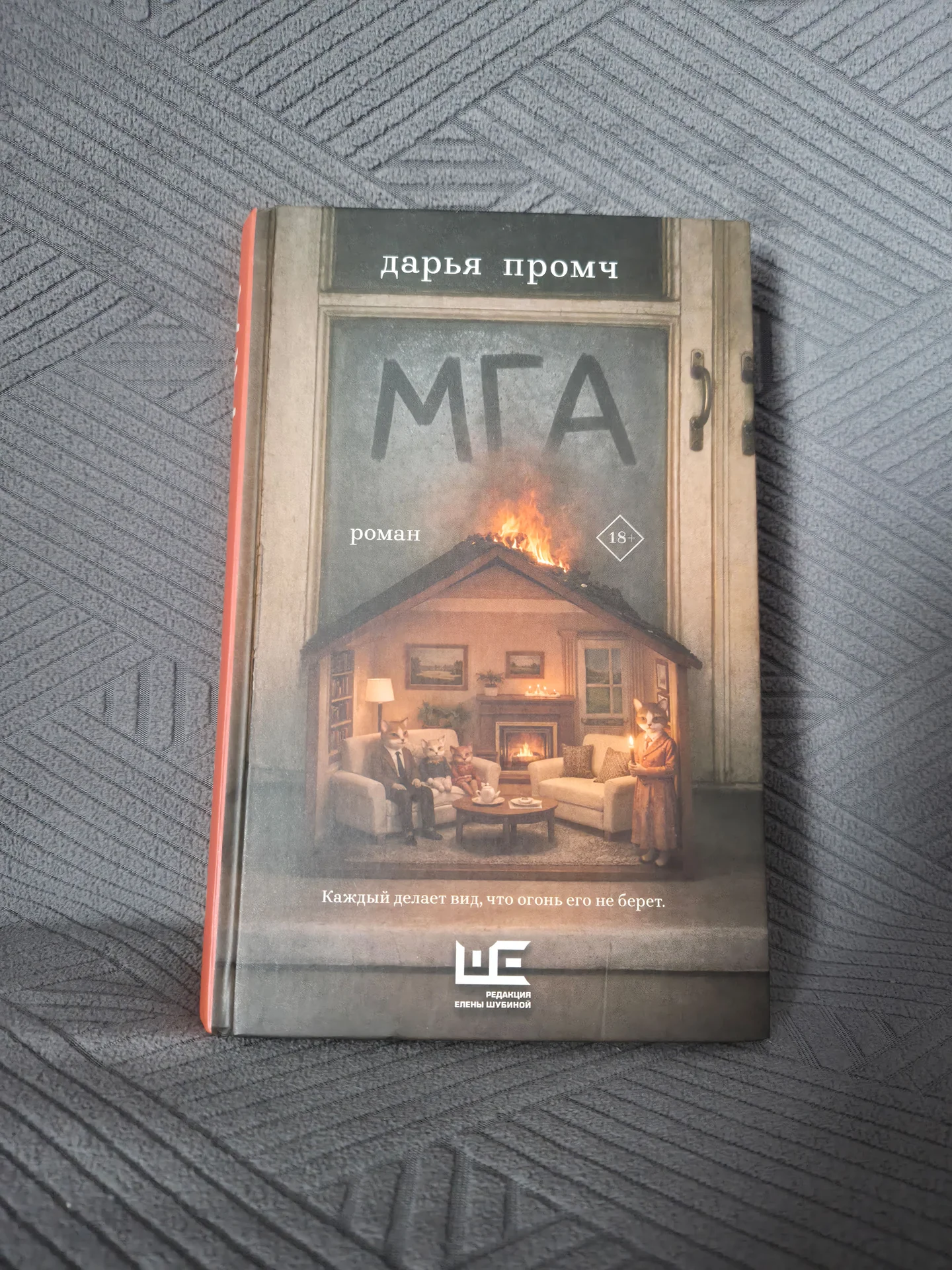 Мга Дарья Промч - изображение 1