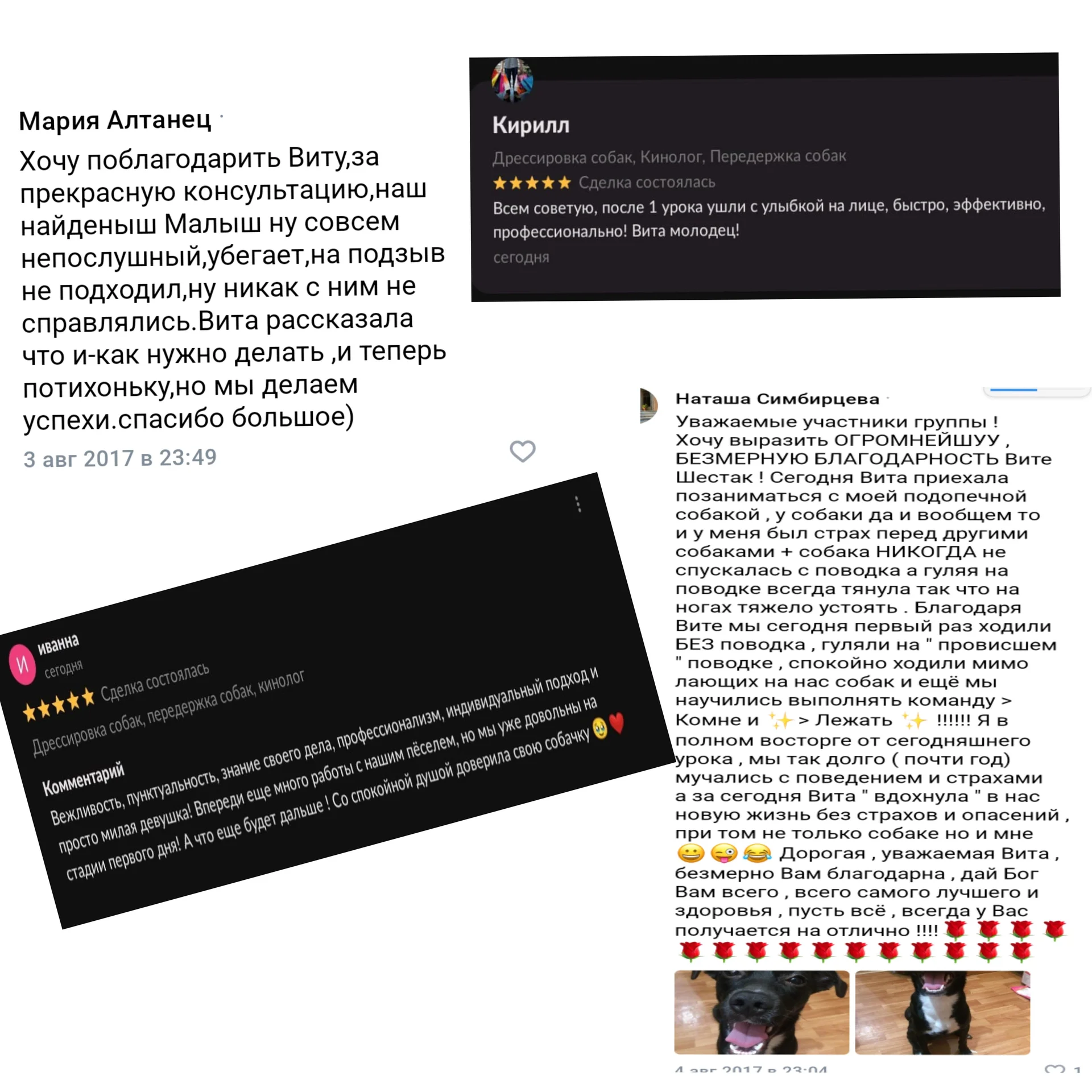 Кинолог, дрессировка собак, зоопсихолог - миниатюра 2