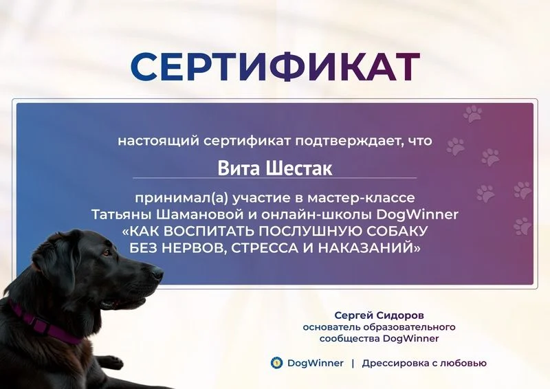 Кинолог, дрессировка собак, зоопсихолог - миниатюра 4