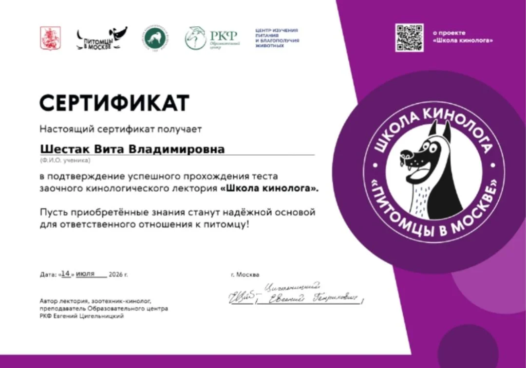 Кинолог, дрессировка собак, зоопсихолог - миниатюра 6