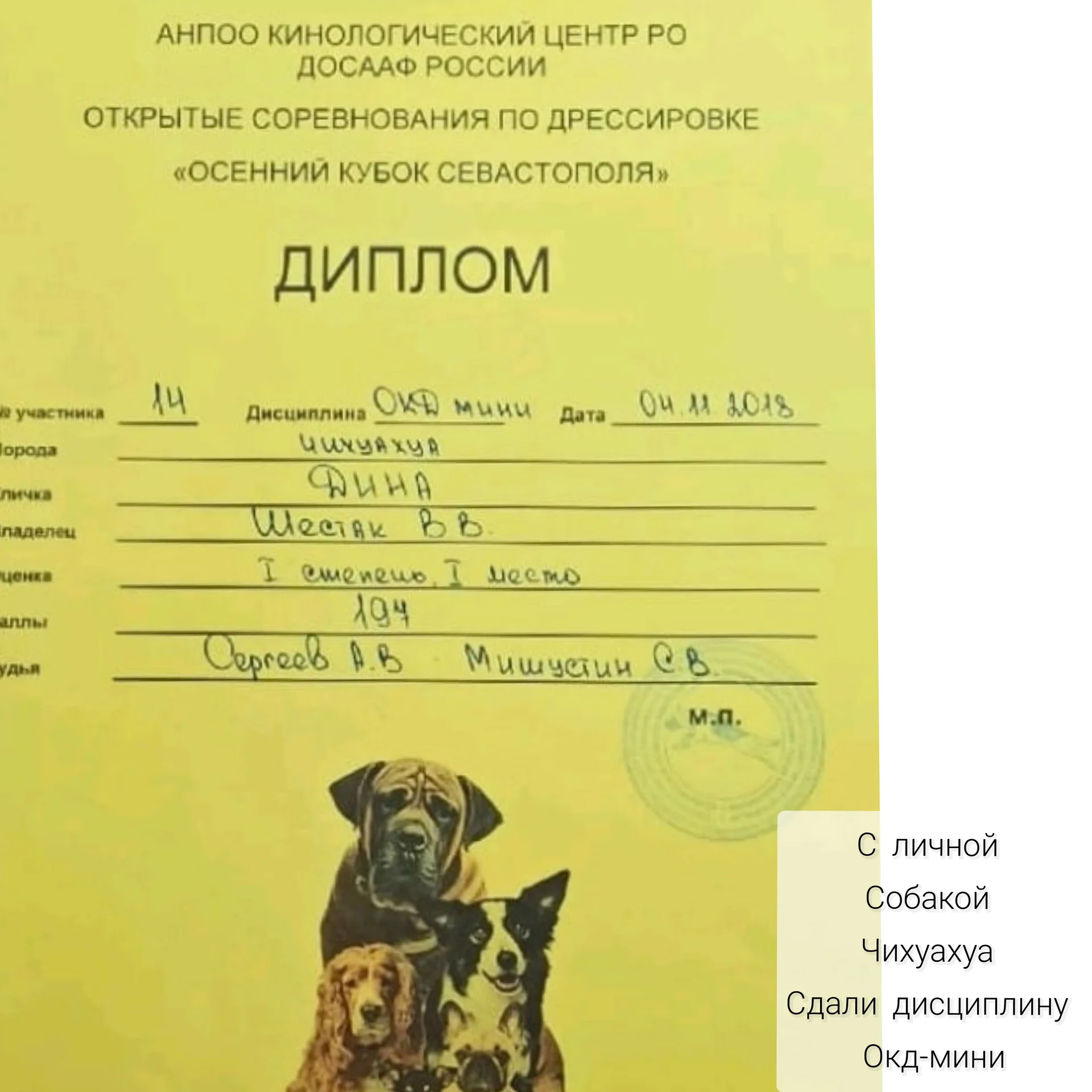 Кинолог, дрессировка собак, зоопсихологи - миниатюра 2