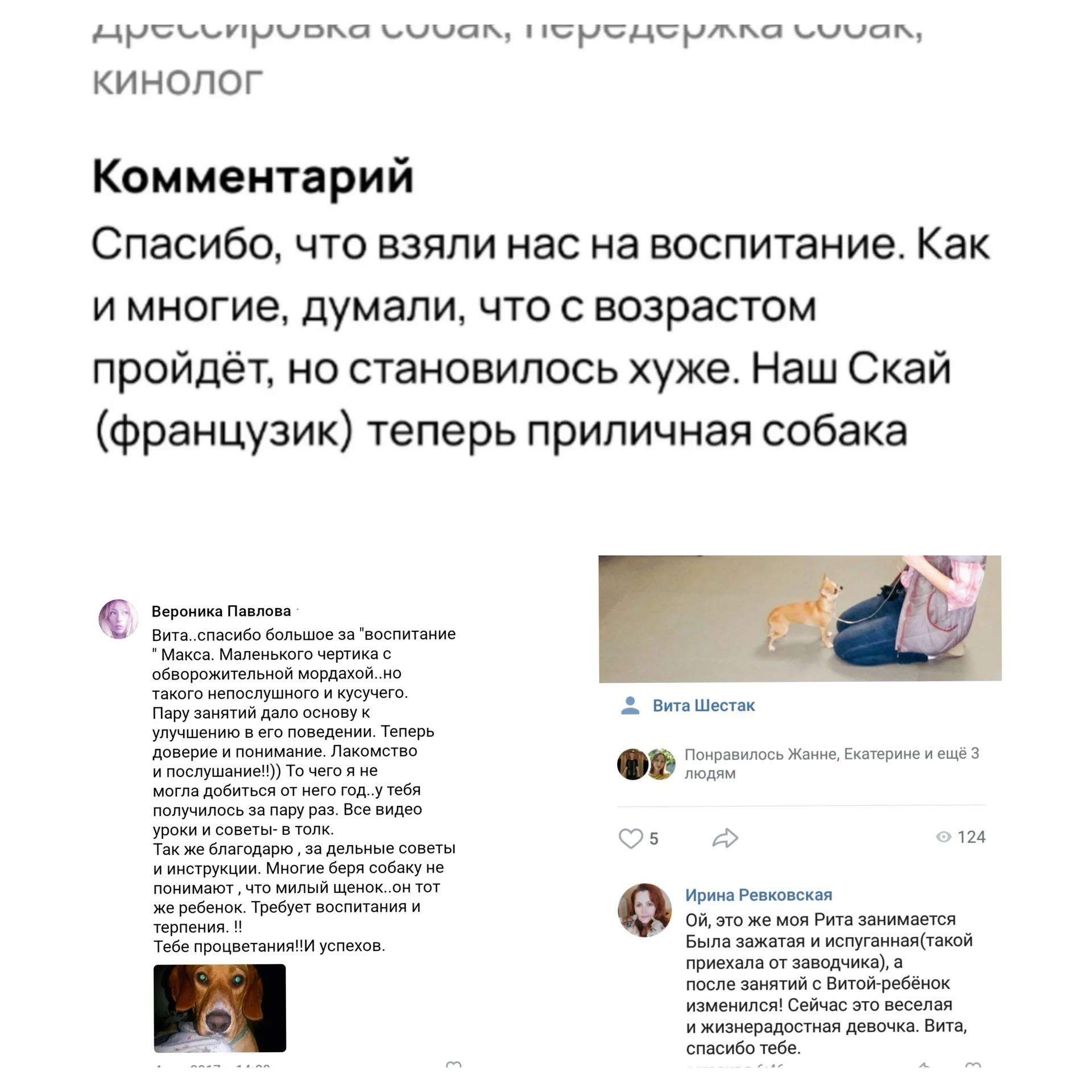 Кинолог, дрессировка собак, зоопсихологи - миниатюра 3