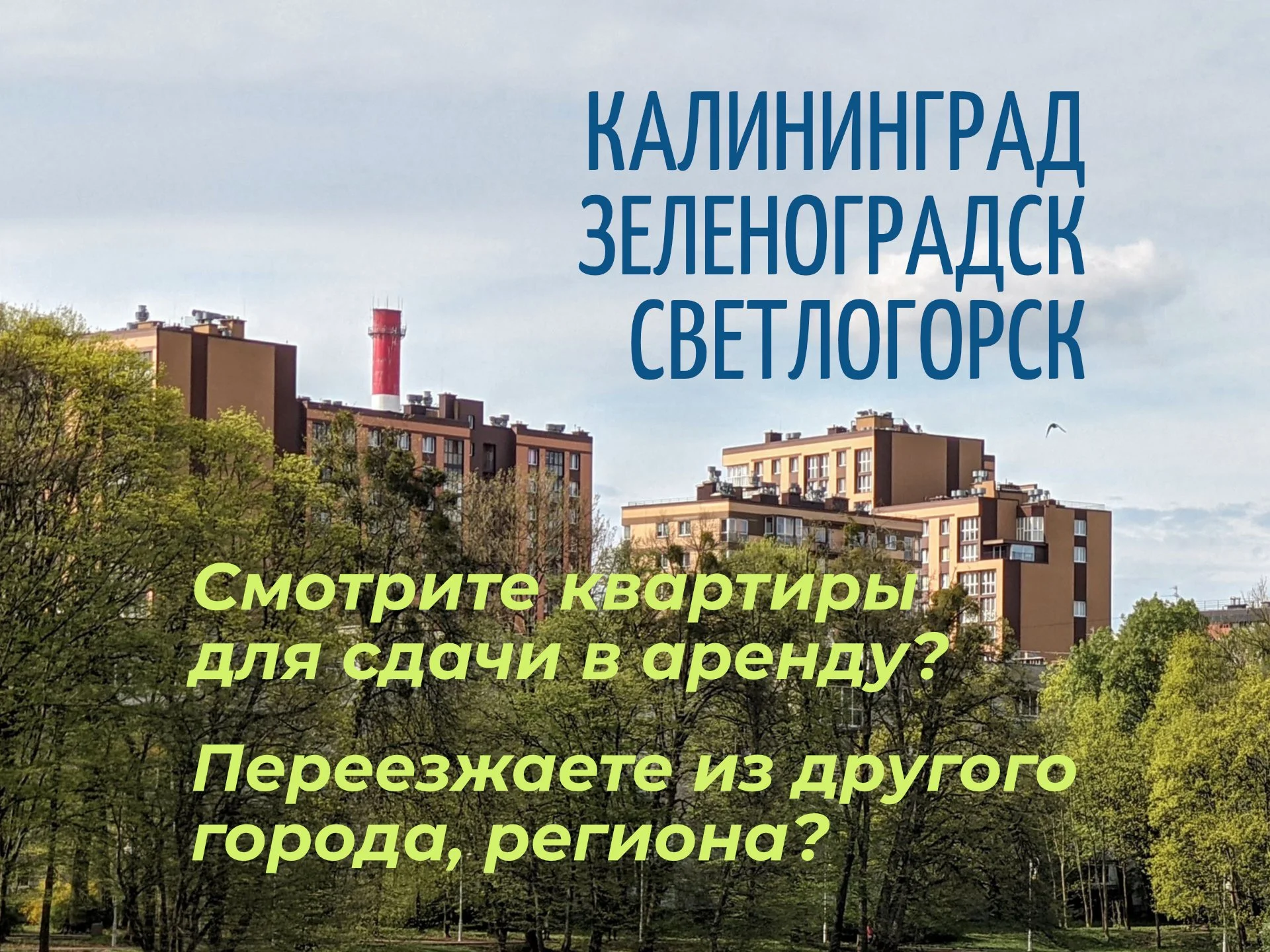 Квартирный Детектив. Не риелтор - миниатюра 2