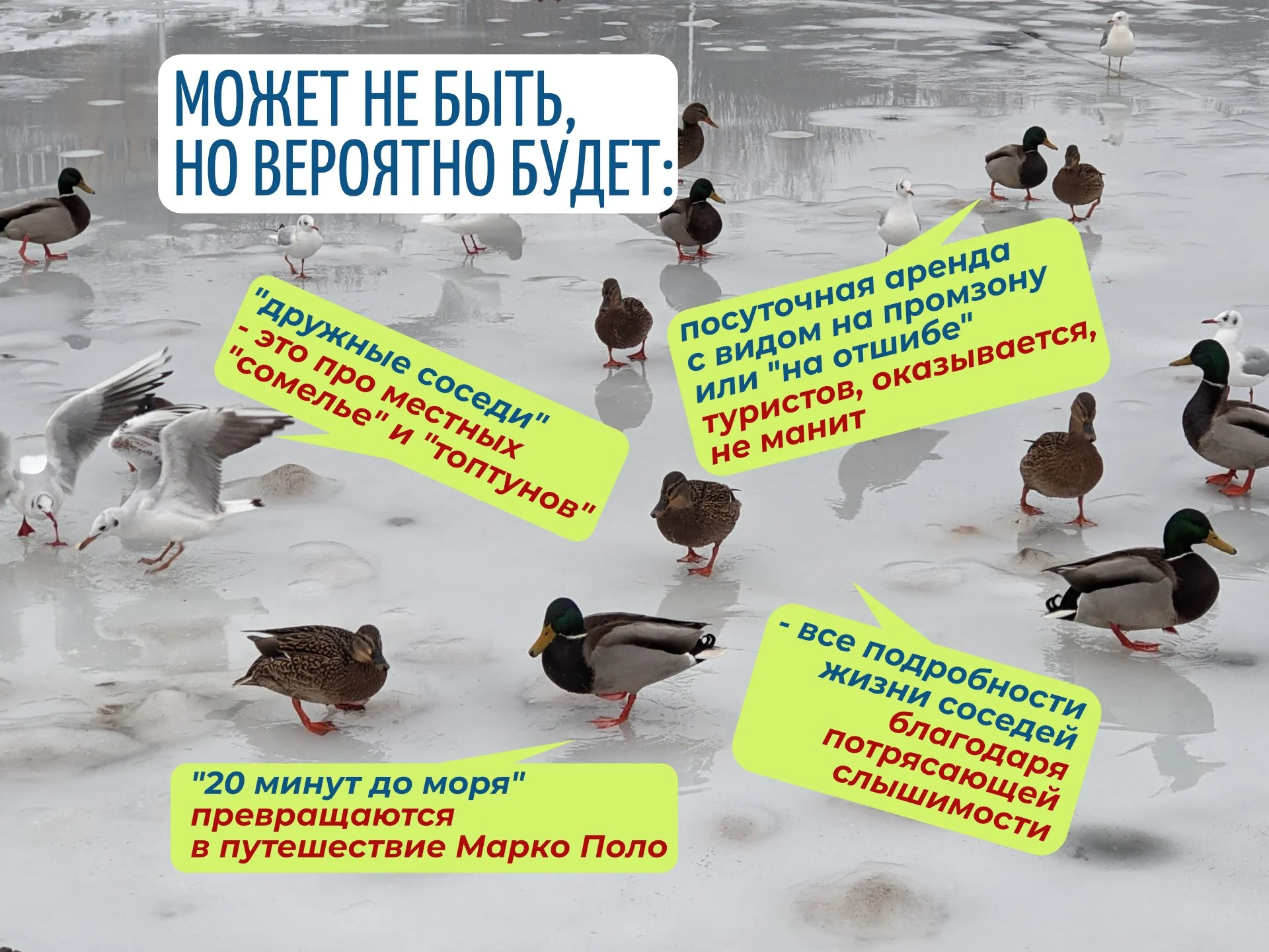 Квартирный Детектив. Не риелтор - миниатюра 4