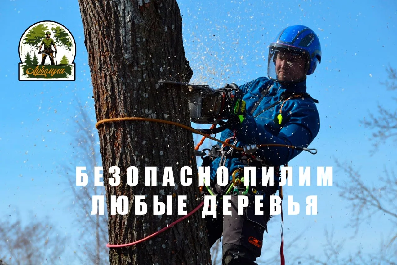 Спил деревьев, расчистка участков, удаление пней - миниатюра 4