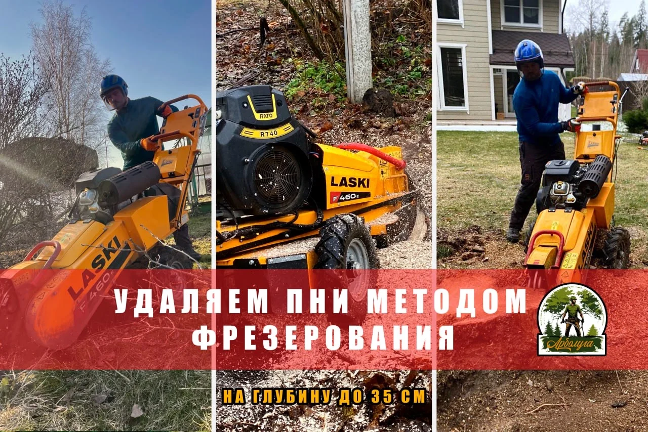 Спил деревьев, расчистка участков, удаление пней - миниатюра 5