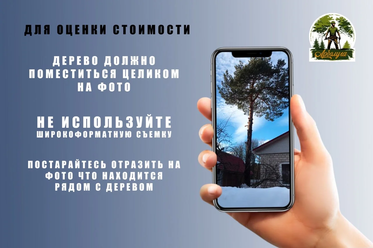 Спил деревьев, расчистка участков, удаление пней - миниатюра 6