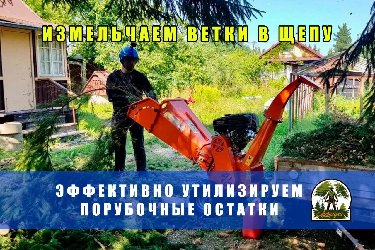 Спил деревьев, расчистка участков, удаление пней - миниатюра 8