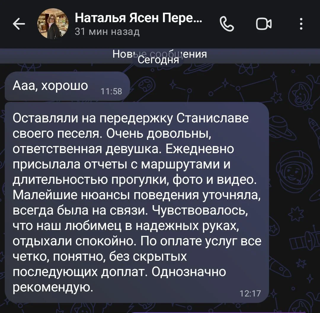 Домашняя передержка собак - миниатюра 2