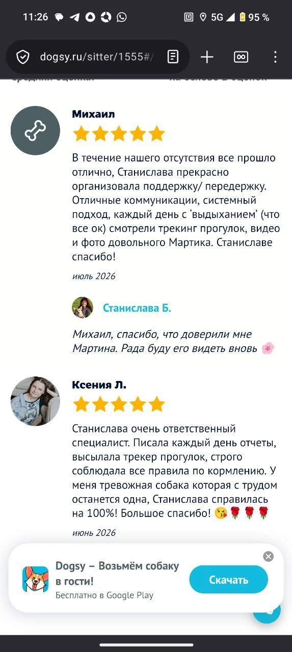 Домашняя передержка собак - миниатюра 4