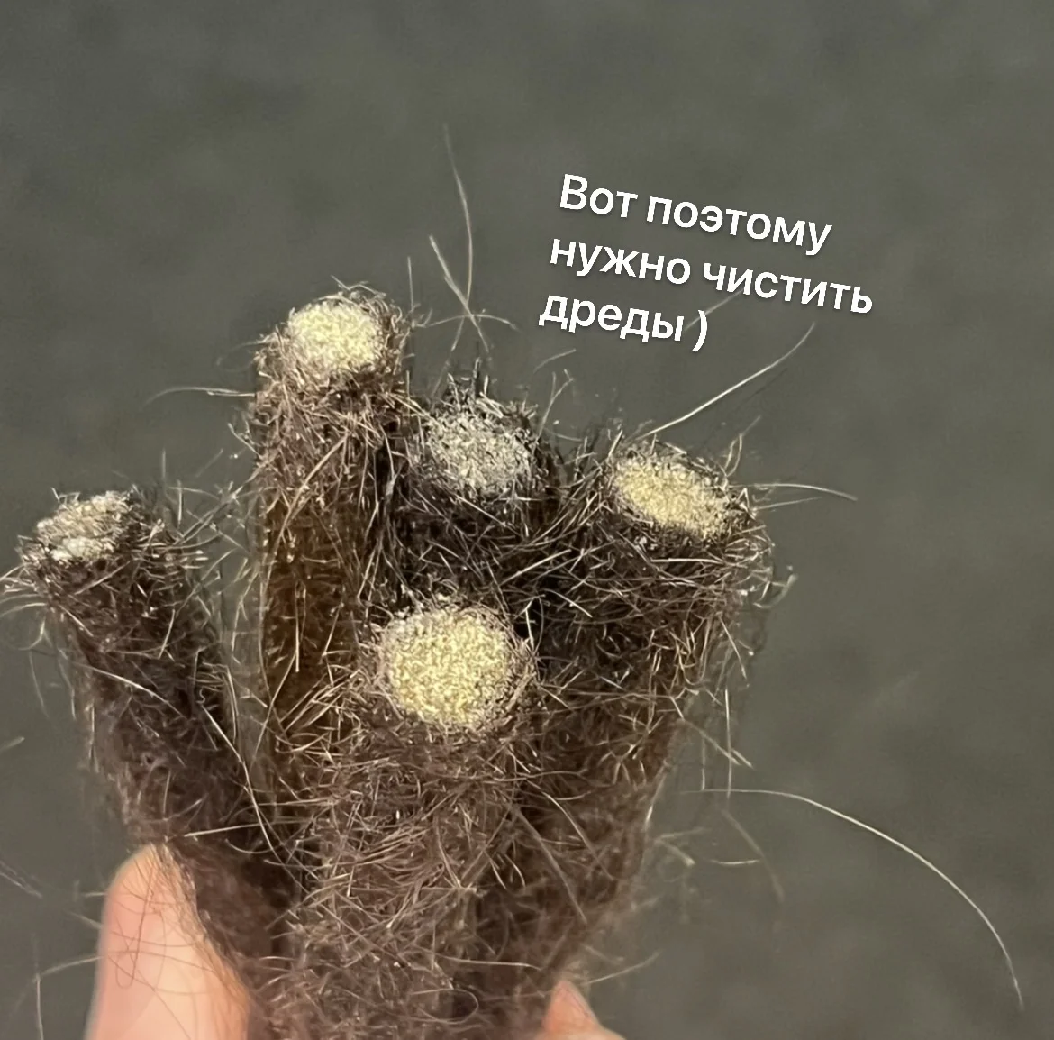 Глубокая чистка натуральных дред - миниатюра 9