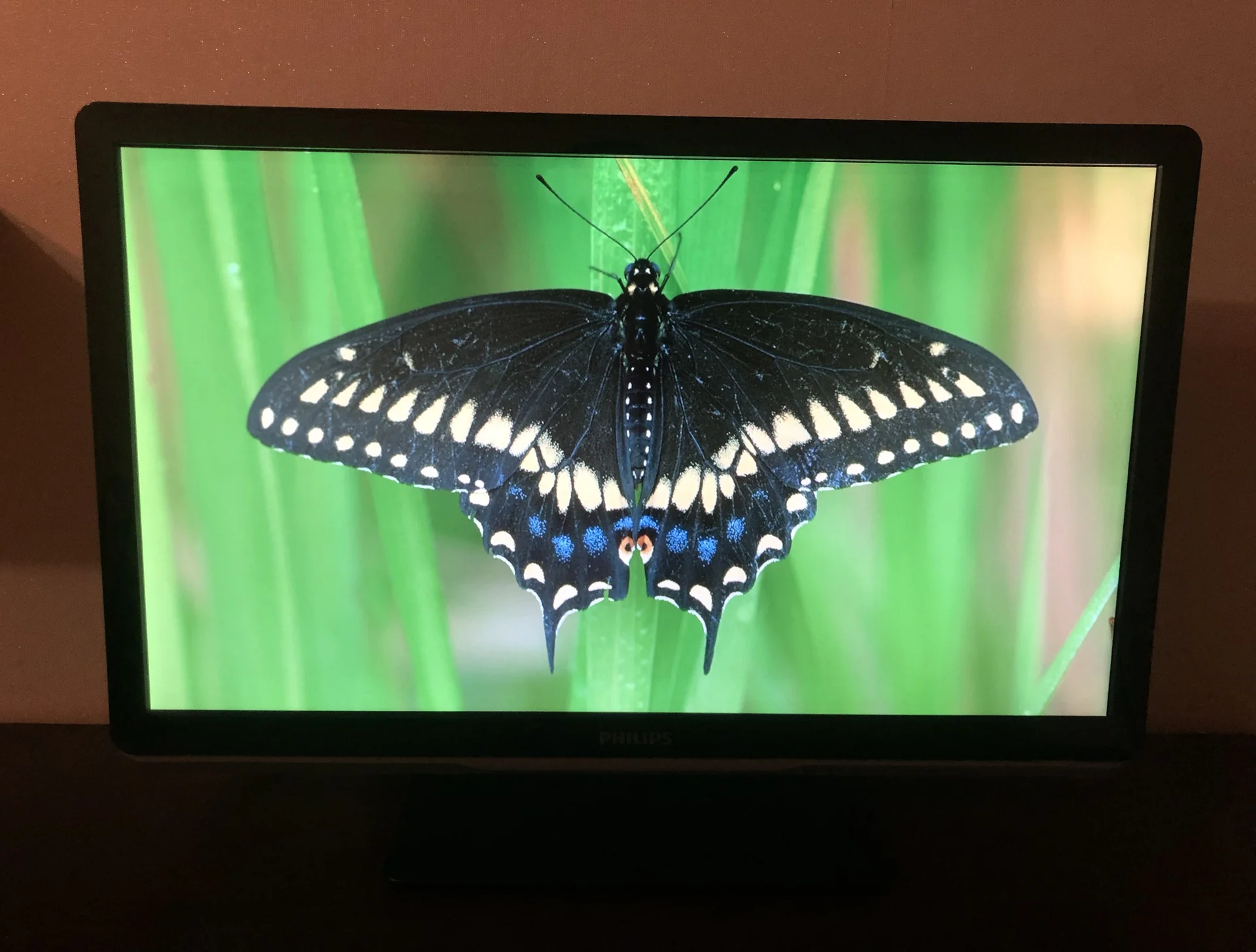 Телевизор Philips 22" - миниатюра 3