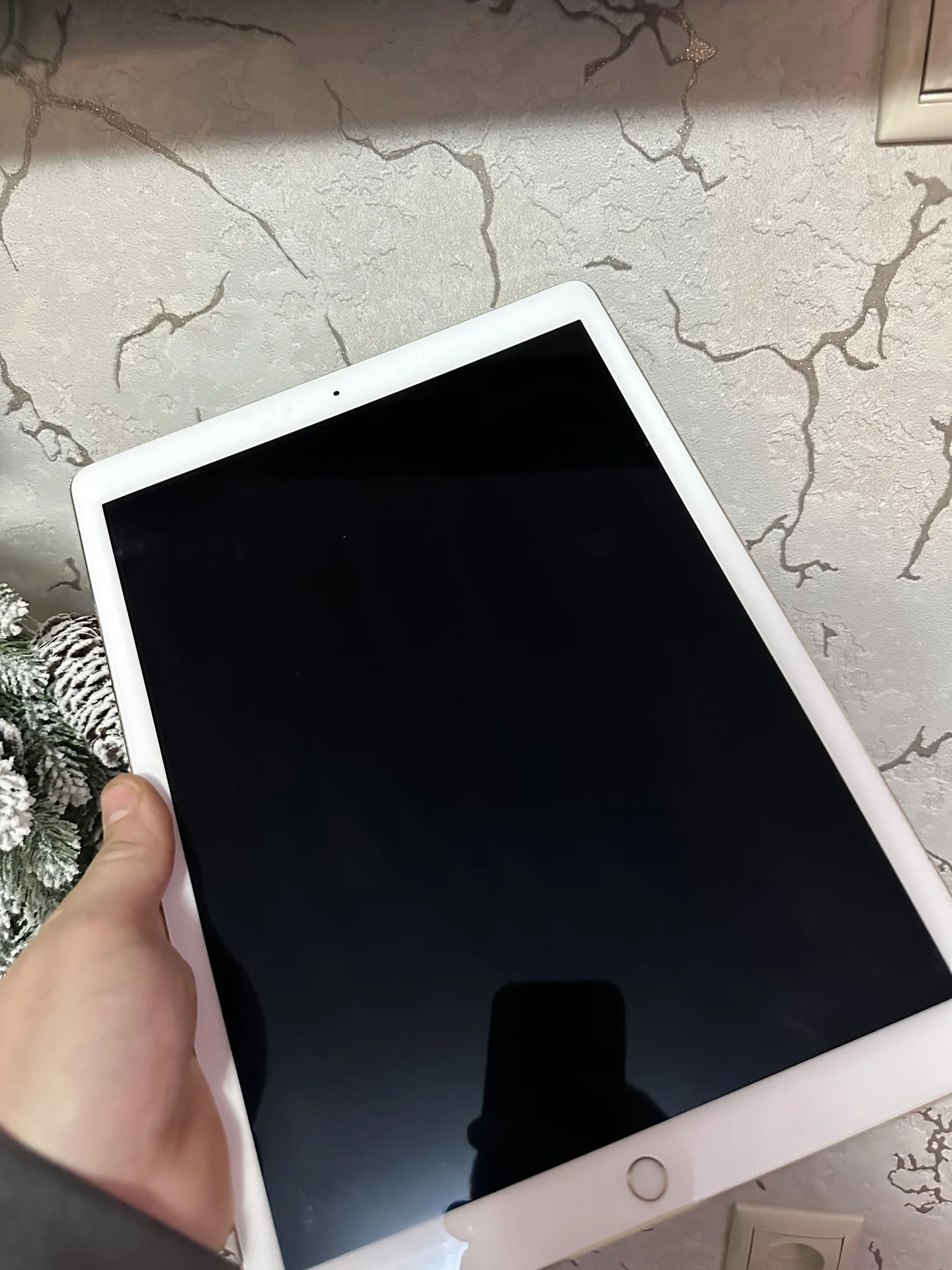 Apple iPad Pro 2017 - миниатюра 3