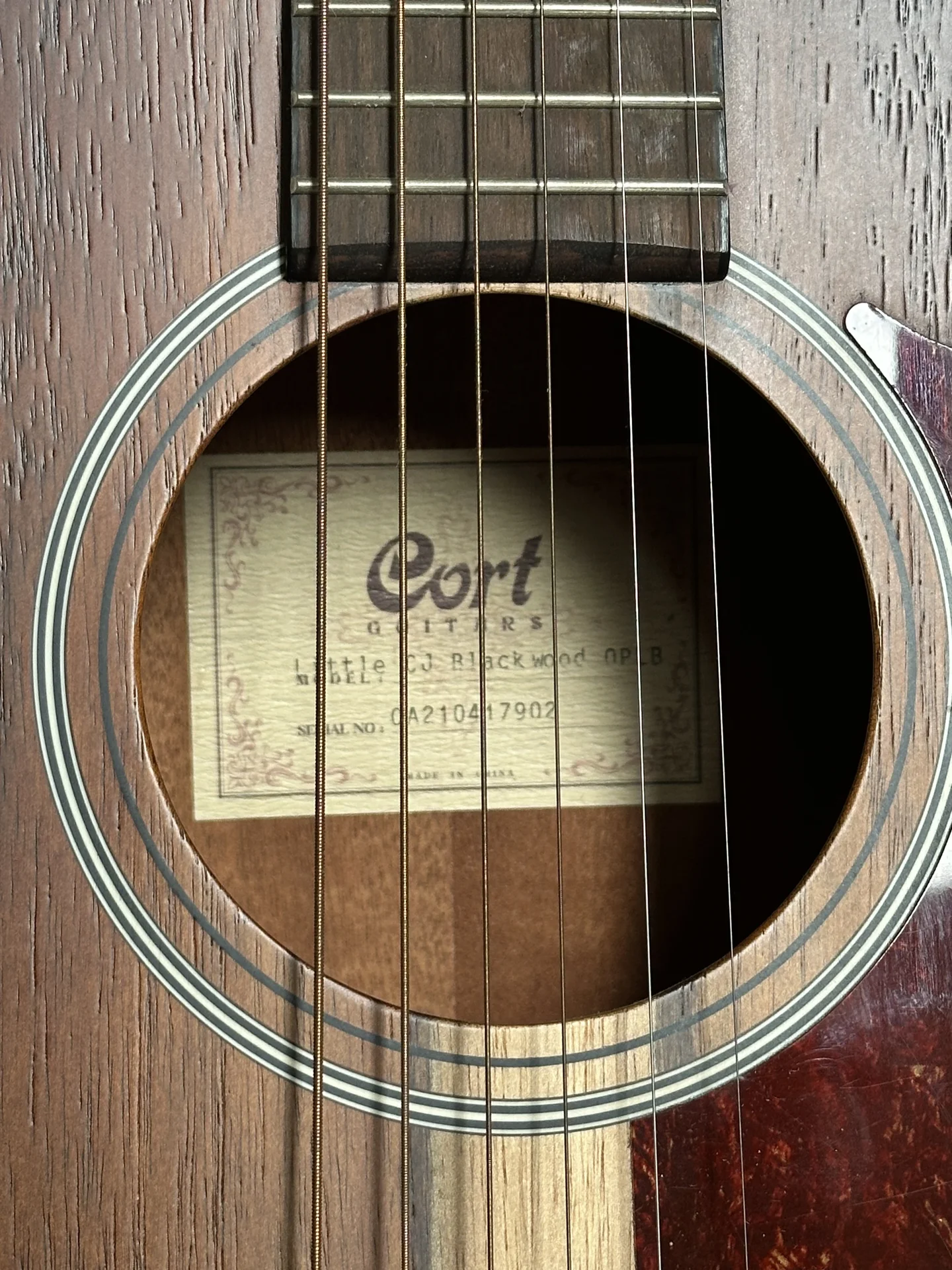 Cort Little CJ — электроакустика 3/4, Blackwood - миниатюра 2