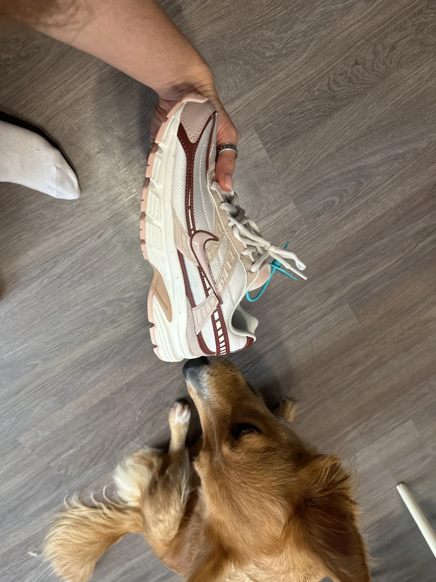 кросовки Nike - миниатюра 3