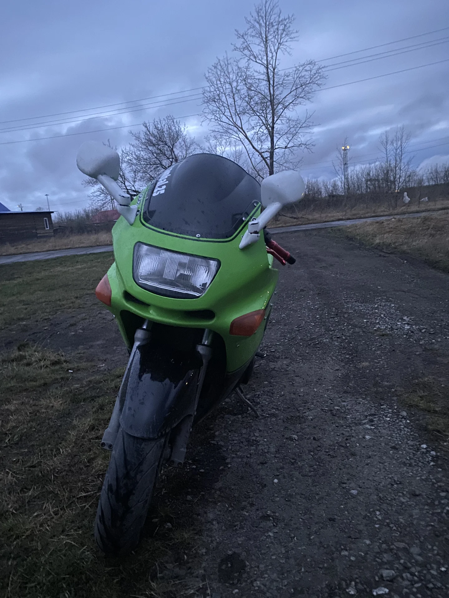 zzr400-2 - миниатюра 4