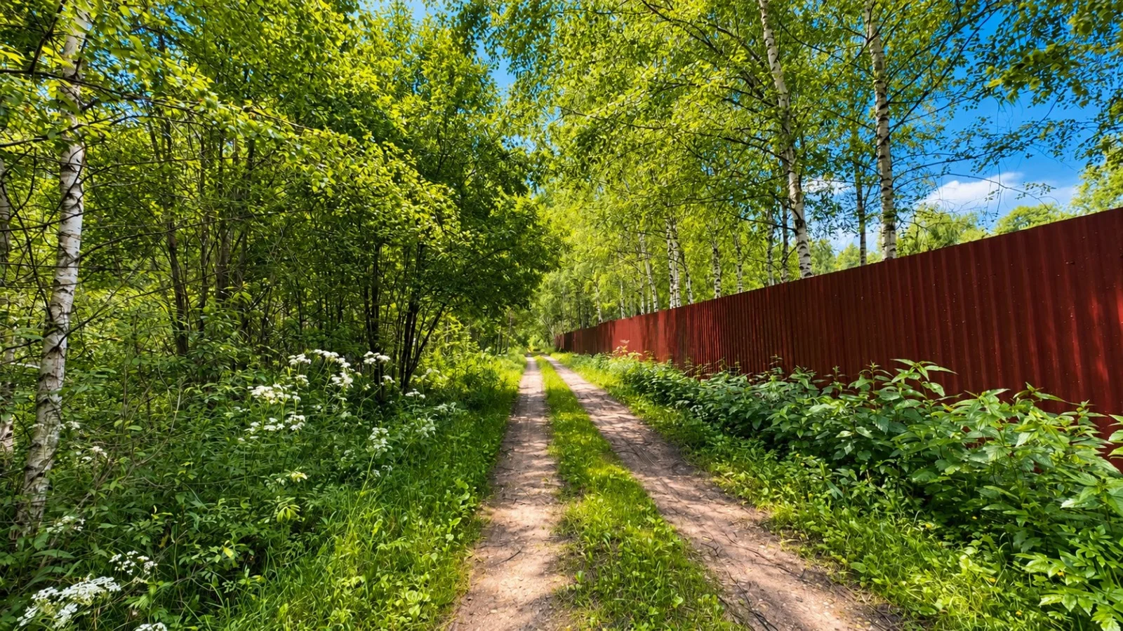 Продаётся большой загородный дом на участке 29 соток! - миниатюра 6