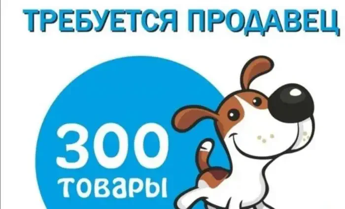 продавец консультант в зоомагазин - изображение 1