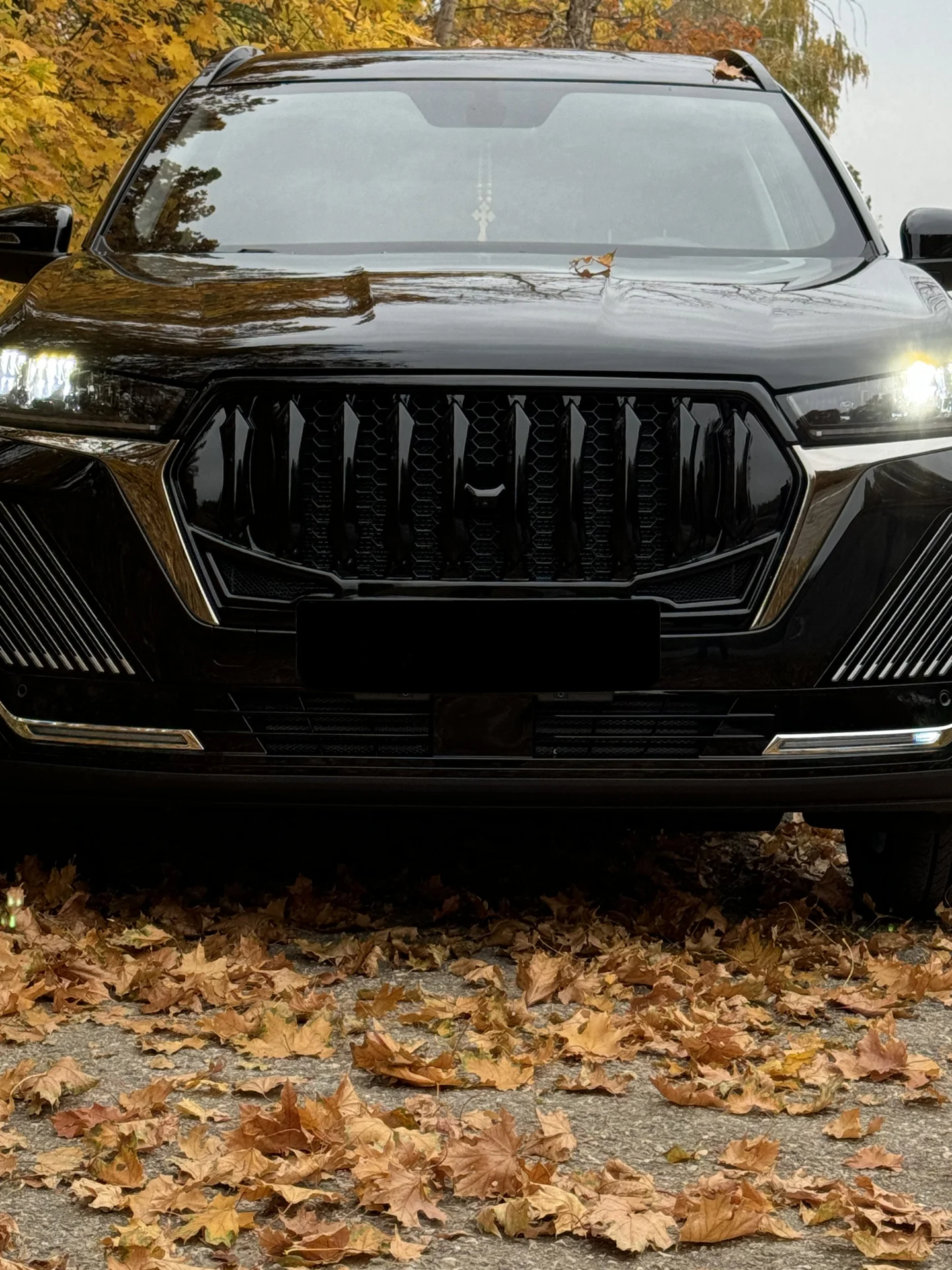 Решетка радиатора Chery Tiggo 7 Pro Max New - миниатюра 3
