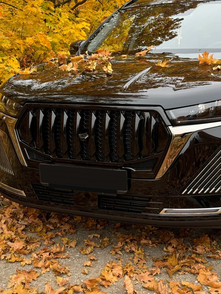 Решетка радиатора Chery Tiggo 7 Pro Max New - миниатюра 4