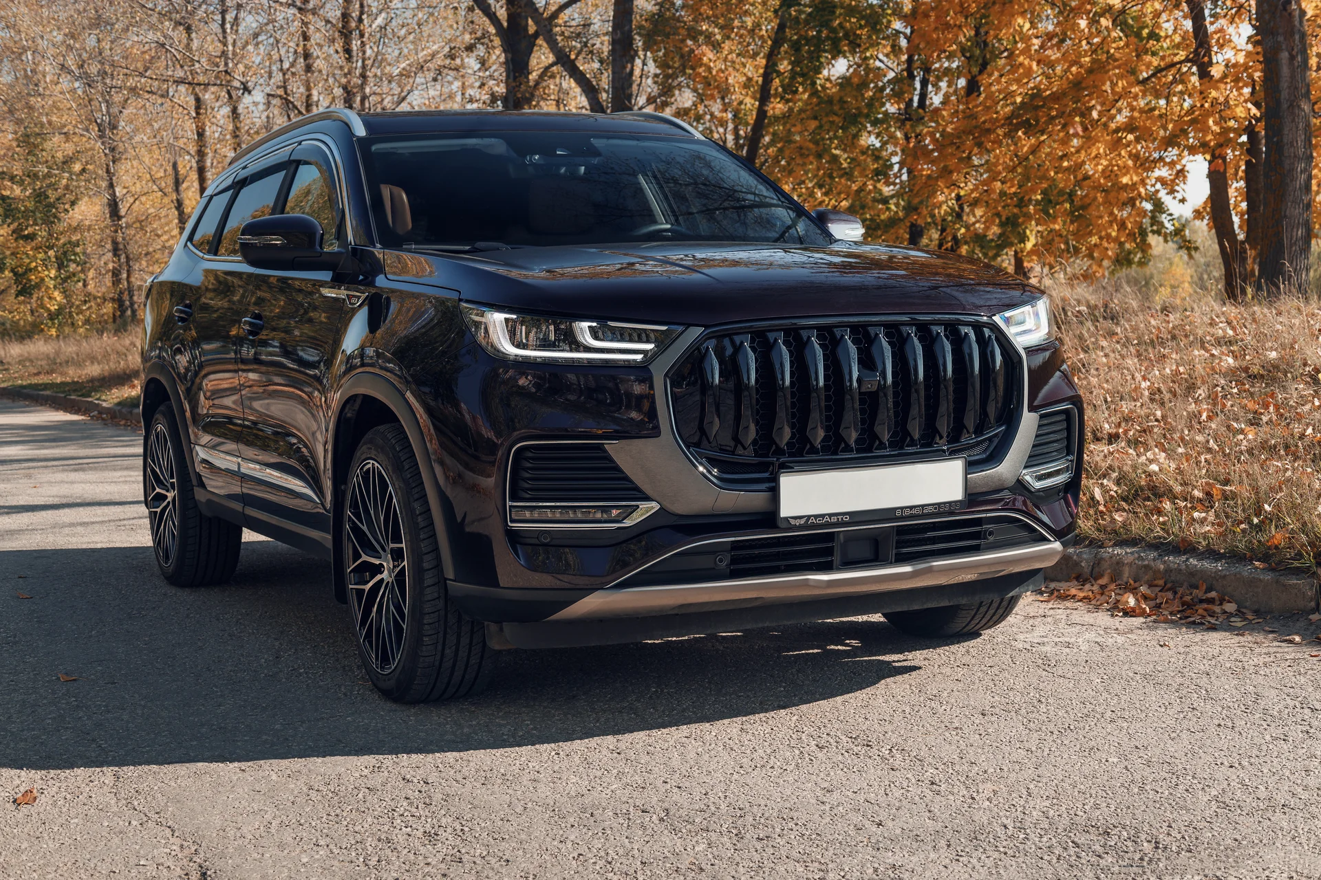 Решетка радиатора Chery Tiggo 8 Pro Max New - миниатюра 6