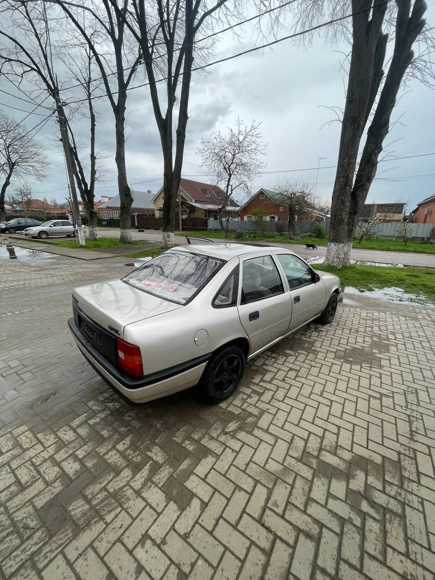 opel vectra a - миниатюра 13