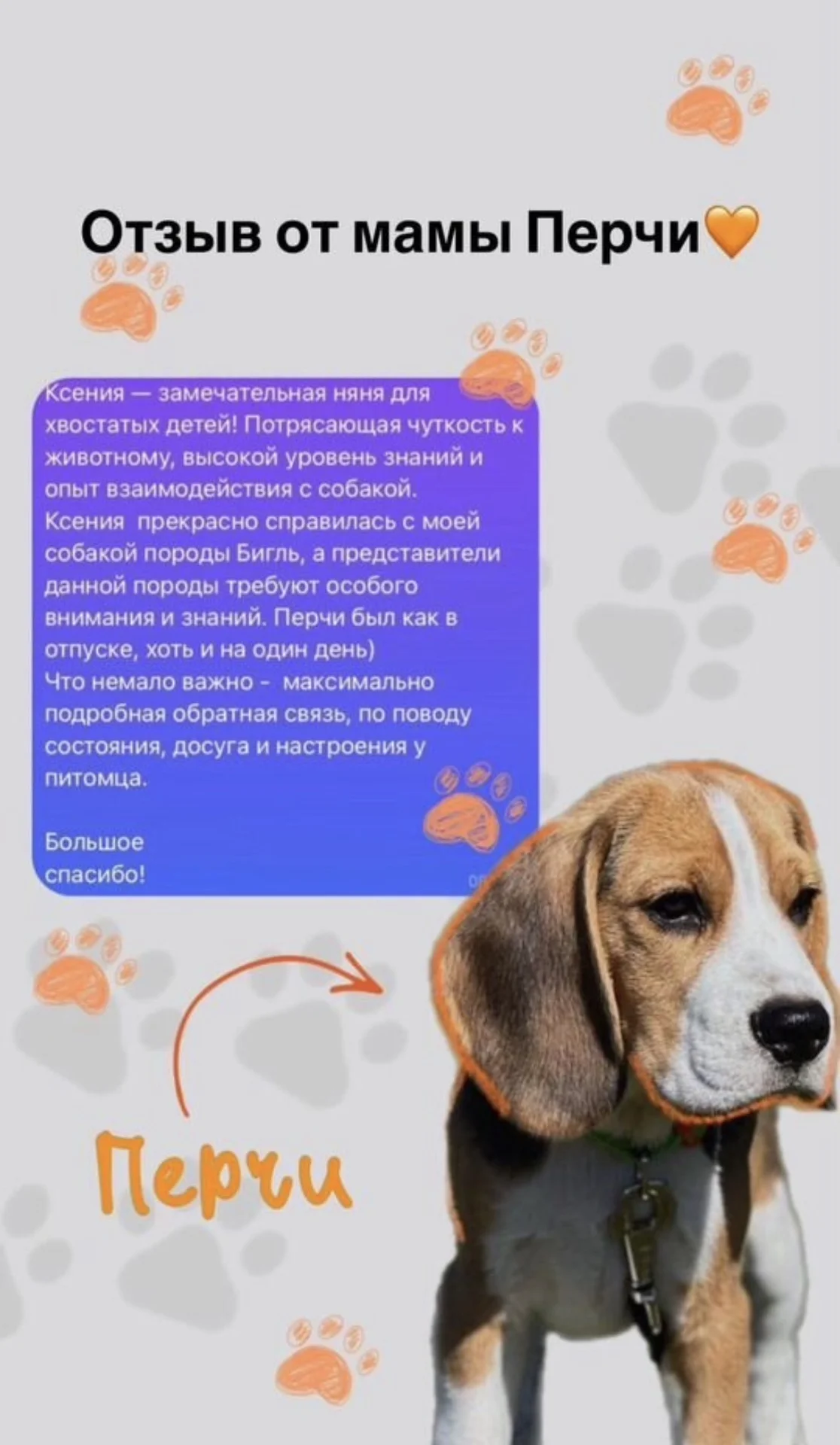 Выгул/ догсситер - миниатюра 4
