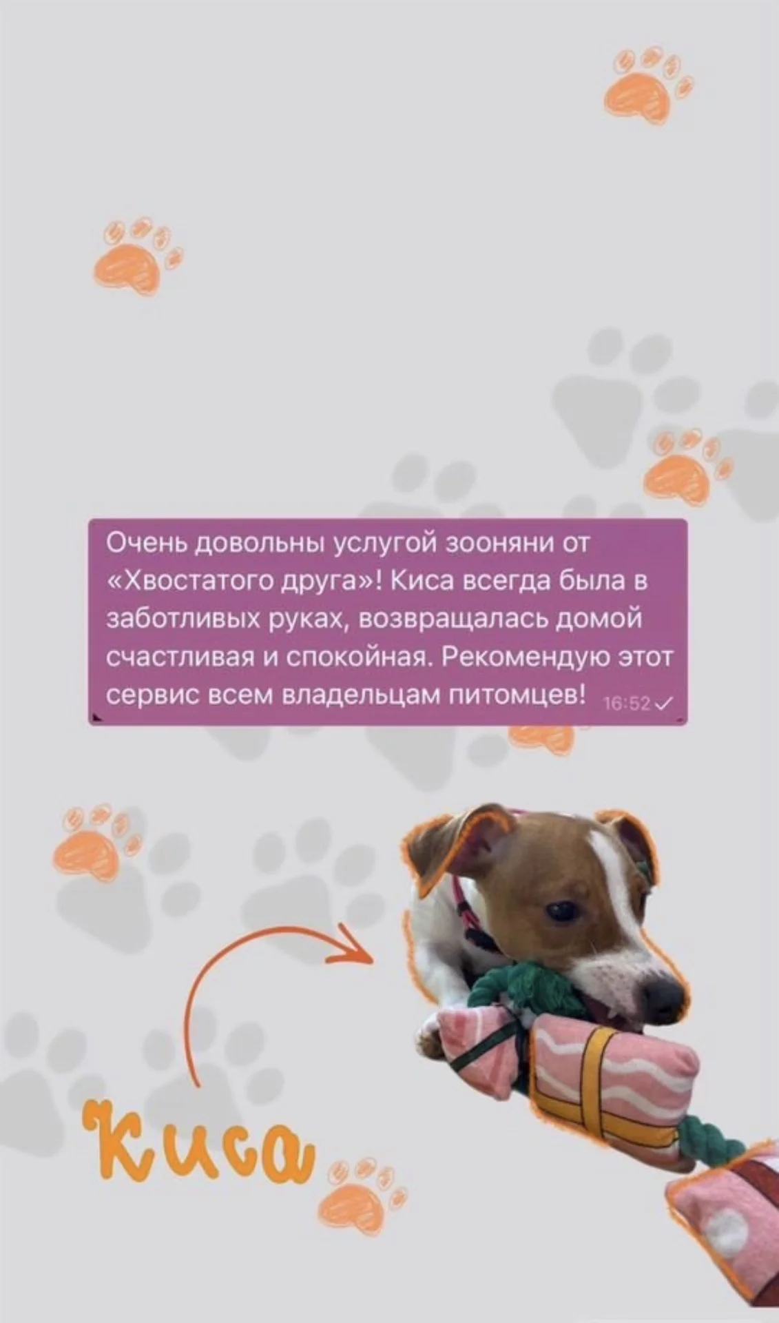 Выгул/ догсситер - миниатюра 9